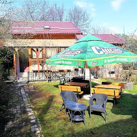 Leyla Guesthouse Castel Braşov Exteriör bild