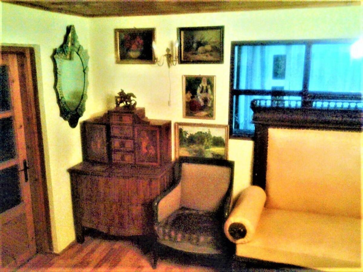 Leyla Guesthouse Castel Braşov Exteriör bild