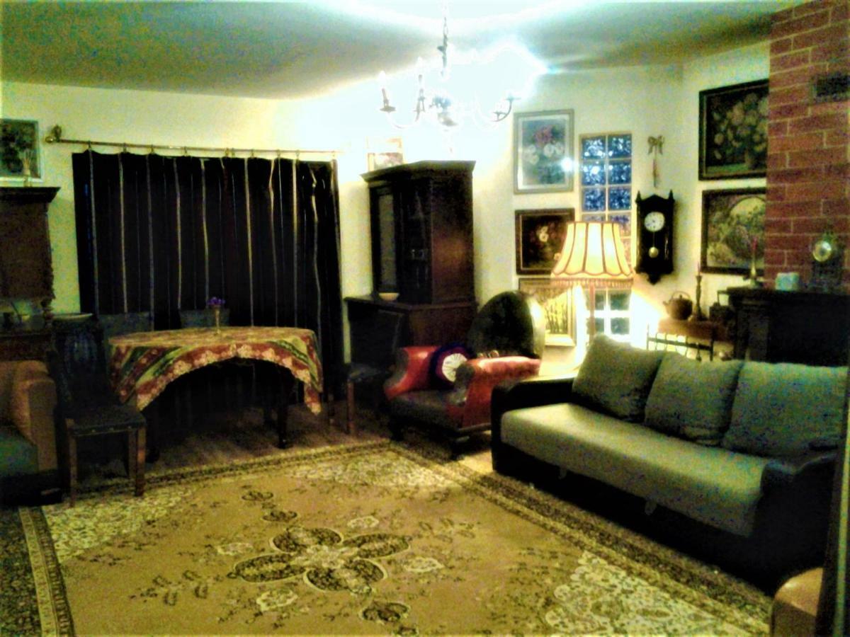Leyla Guesthouse Castel Braşov Exteriör bild