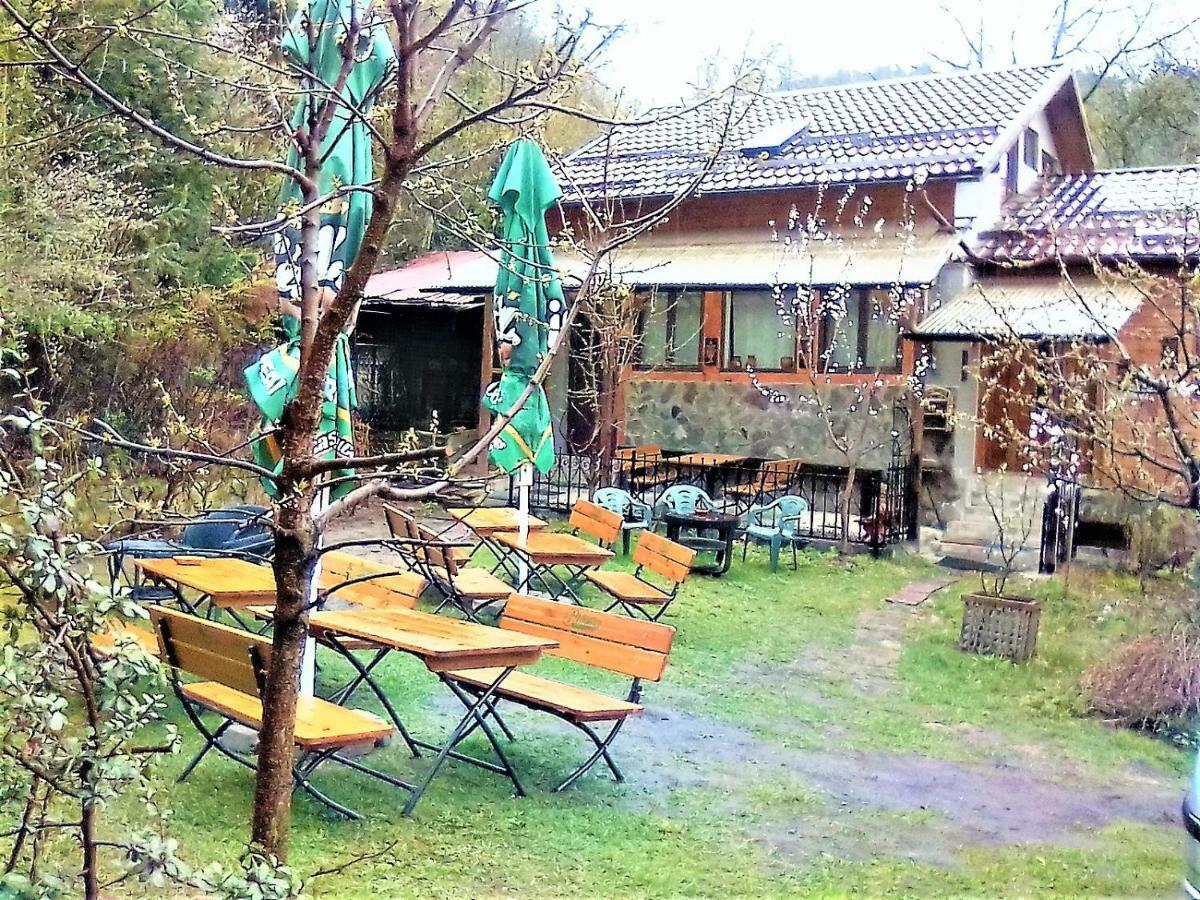 Leyla Guesthouse Castel Braşov Exteriör bild