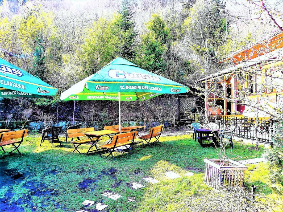 Leyla Guesthouse Castel Braşov Exteriör bild