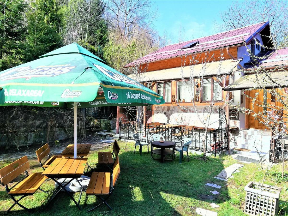 Leyla Guesthouse Castel Braşov Exteriör bild