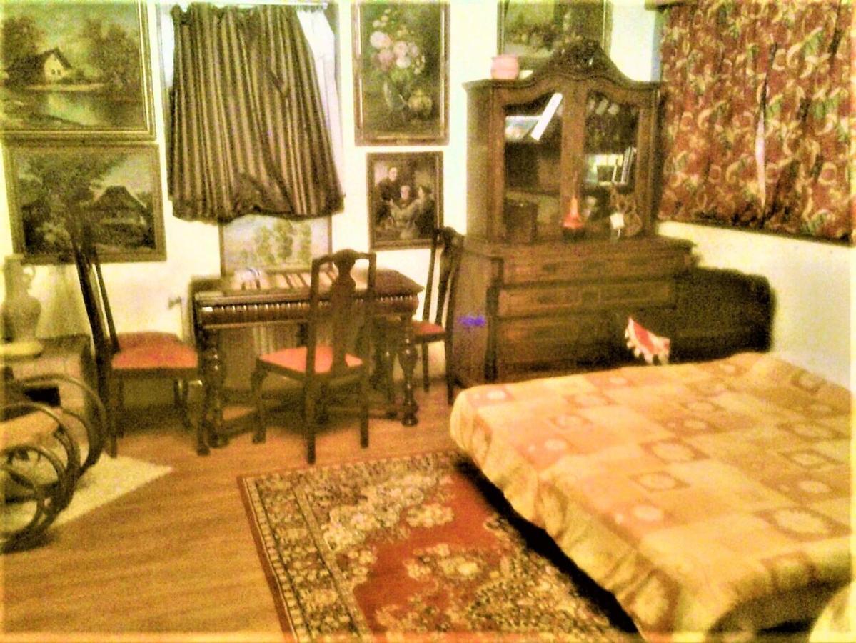Leyla Guesthouse Castel Braşov Exteriör bild