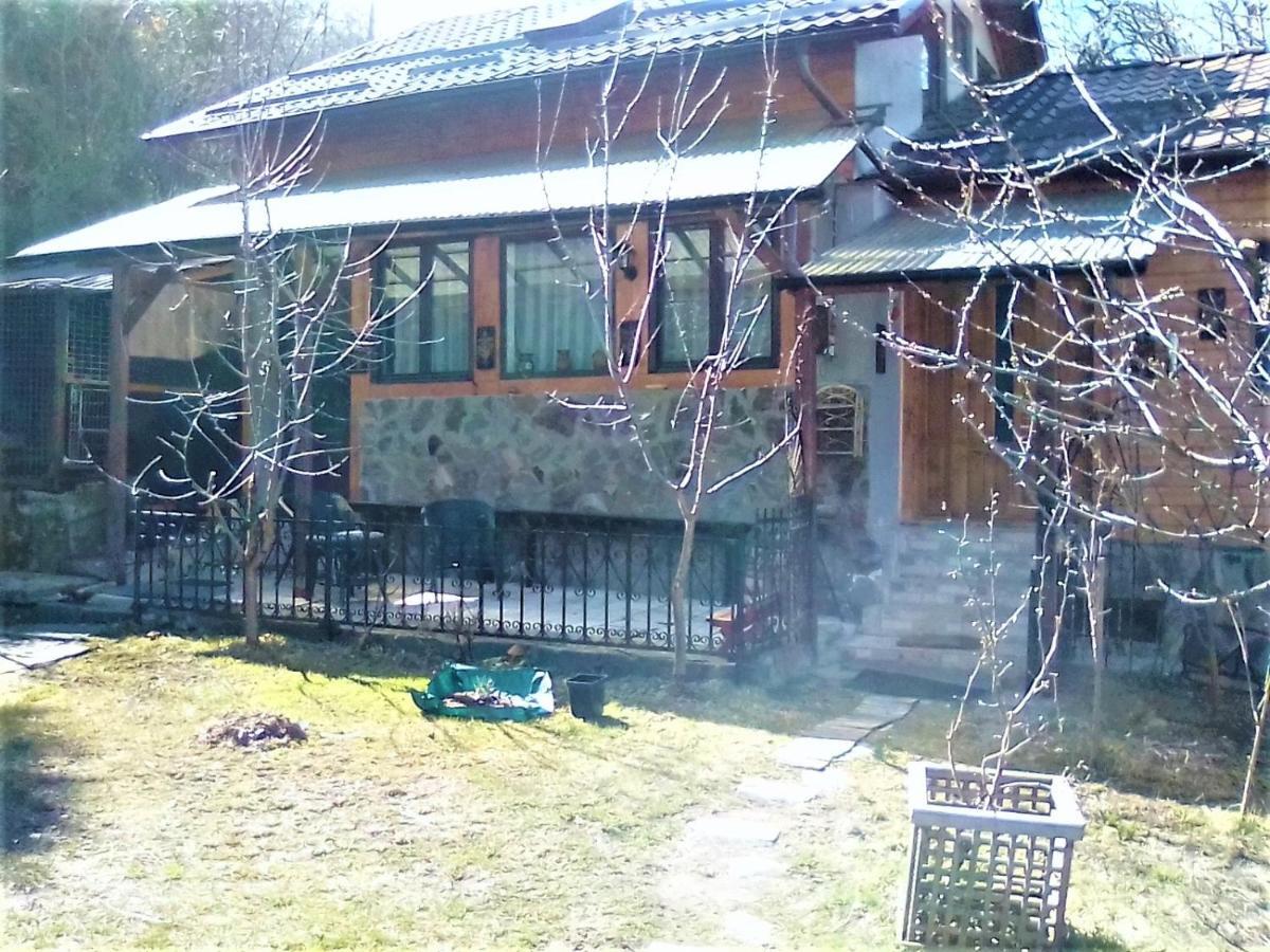 Leyla Guesthouse Castel Braşov Exteriör bild