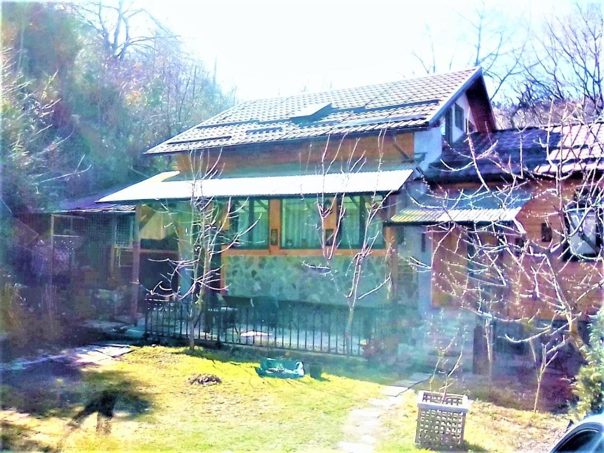 Leyla Guesthouse Castel Braşov Exteriör bild
