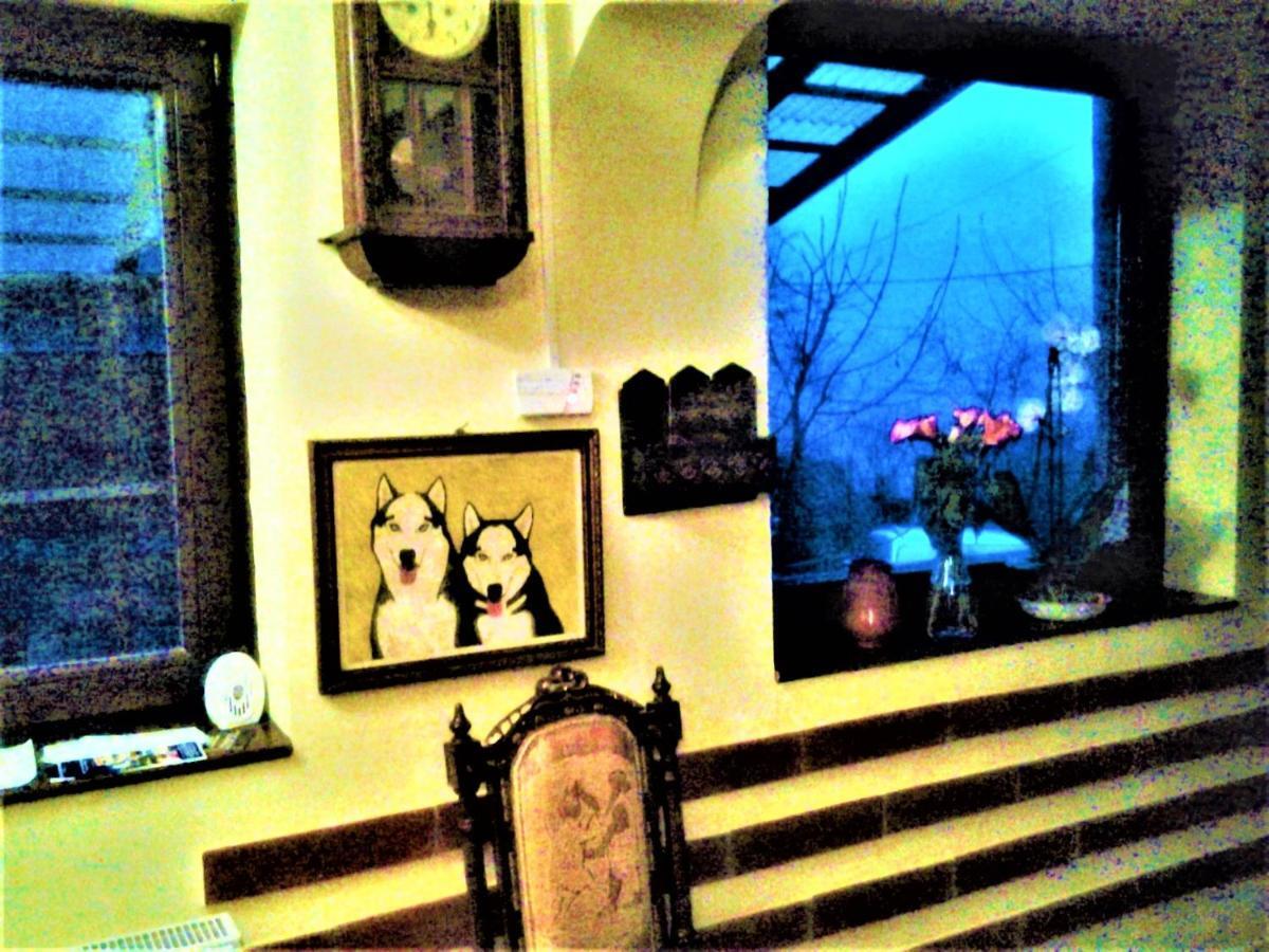 Leyla Guesthouse Castel Braşov Exteriör bild