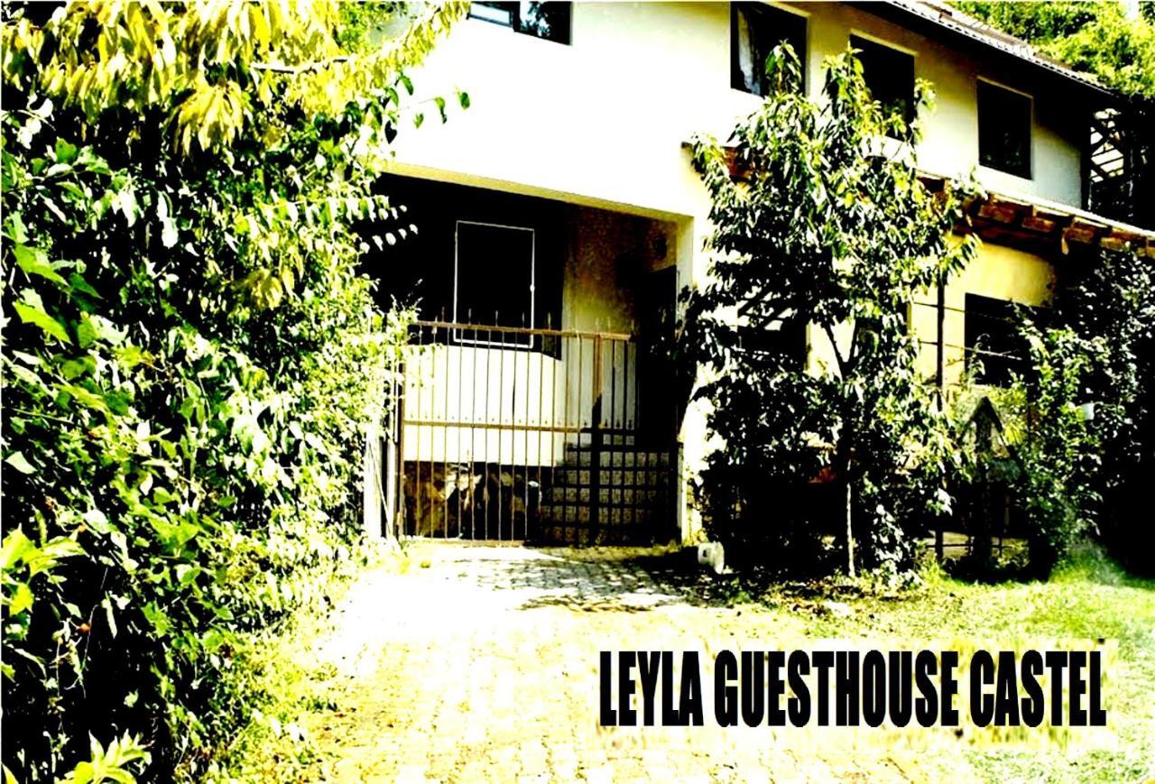 Leyla Guesthouse Castel Braşov Exteriör bild