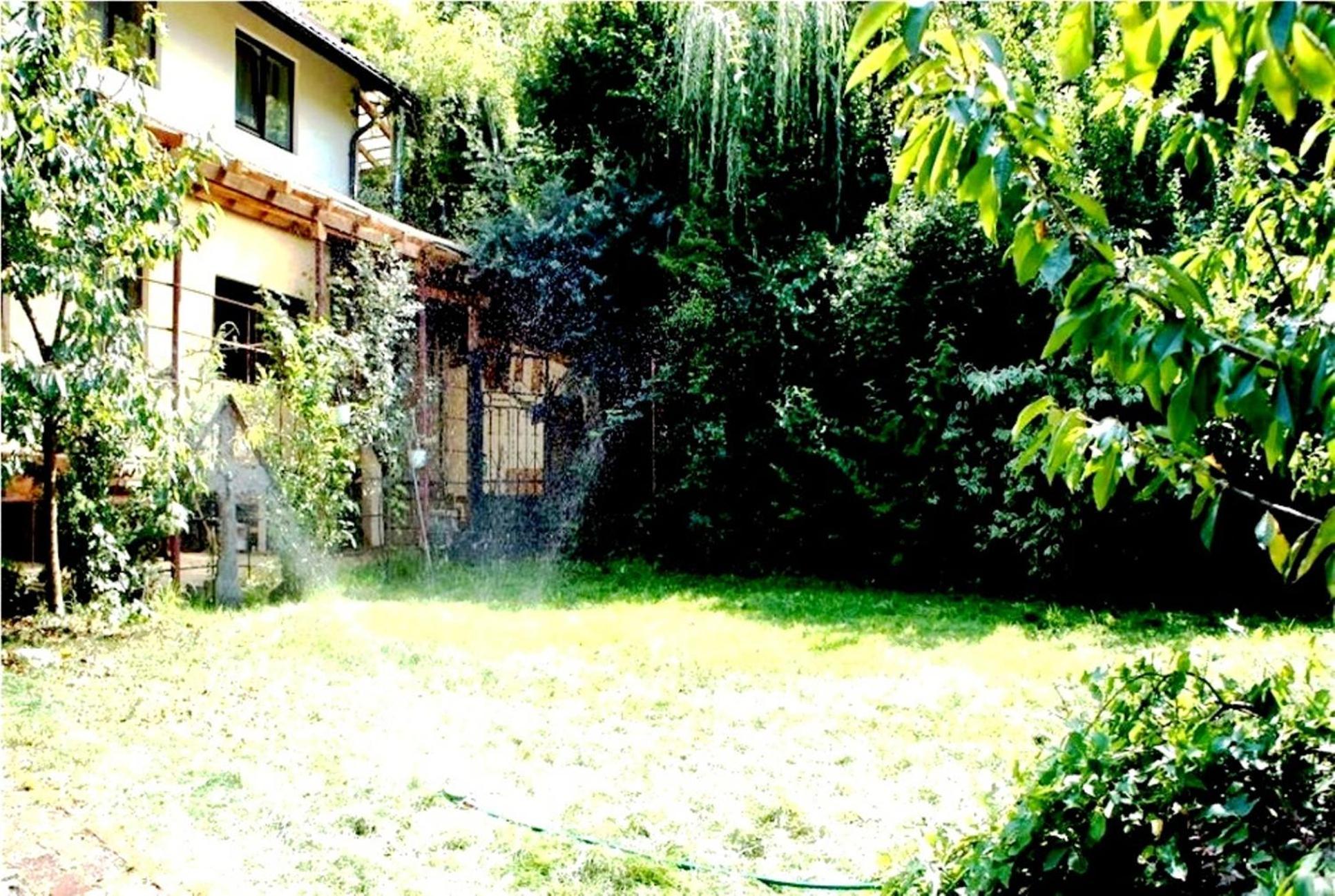 Leyla Guesthouse Castel Braşov Exteriör bild