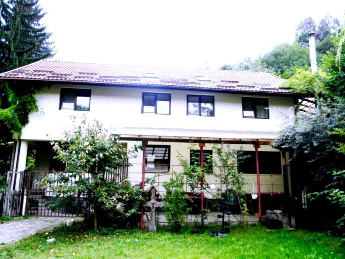 Leyla Guesthouse Castel Braşov Exteriör bild